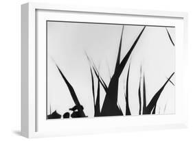 Shapes White On Black Blurred-Anthony Paladino-Framed Giclee Print