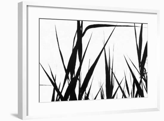 Shapes White On Black-Anthony Paladino-Framed Giclee Print