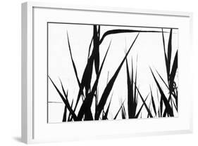 Shapes White On Black-Anthony Paladino-Framed Giclee Print