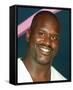 Shaquille O'Neal-null-Framed Stretched Canvas