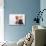 Shar-Pei Puppies-DLILLC-Photographic Print displayed on a wall