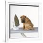 Shar Pei Puppy with Iron on Ironing Board-null-Framed Photographic Print