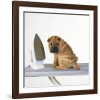 Shar Pei Puppy with Iron on Ironing Board-null-Framed Photographic Print