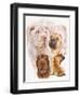 Shar Pei with Ghost-Barbara Keith-Framed Giclee Print