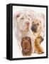 Shar Pei with Ghost-Barbara Keith-Framed Stretched Canvas
