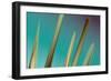 Shards-Sloane Addison  -Framed Art Print