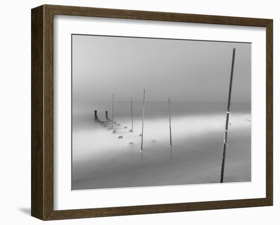 Share the Same Skin-Geoffrey Ansel Agrons-Framed Photographic Print
