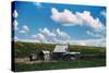 Sharecropper's Homestead-Marion Post Wolcott-Stretched Canvas