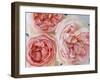 Sharifa Roses-Clay Perry-Framed Premium Photographic Print