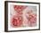 Sharifa Roses-Clay Perry-Framed Premium Photographic Print