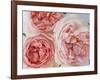 Sharifa Roses-Clay Perry-Framed Photographic Print