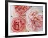 Sharifa Roses-Clay Perry-Framed Photographic Print