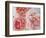 Sharifa Roses-Clay Perry-Framed Photographic Print