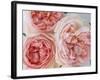 Sharifa Roses-Clay Perry-Framed Photographic Print