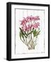 Sharing Memories III-Asia Jensen-Framed Art Print