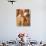 Sharing Secrets-Tamara de Lempicka-Giclee Print displayed on a wall