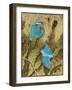 Sharing the Caring, 2011-Pat Scott-Framed Giclee Print