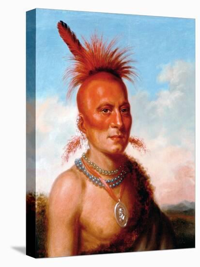 Sharitarish (Wicked Chief), Pawnee-Charles Bird King-Stretched Canvas