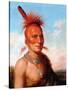 Sharitarish (Wicked Chief), Pawnee-Charles Bird King-Stretched Canvas
