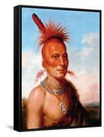 Sharitarish (Wicked Chief), Pawnee-Charles Bird King-Framed Stretched Canvas