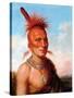 Sharitarish (Wicked Chief), Pawnee-Charles Bird King-Stretched Canvas