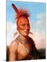 Sharitarish (Wicked Chief), Pawnee-Charles Bird King-Mounted Giclee Print