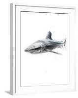 Shark 1-Alexis Marcou-Framed Art Print