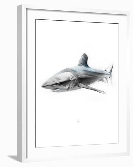 Shark 1-Alexis Marcou-Framed Art Print