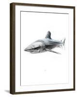 Shark 1-Alexis Marcou-Framed Art Print