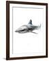 Shark 1-Alexis Marcou-Framed Art Print