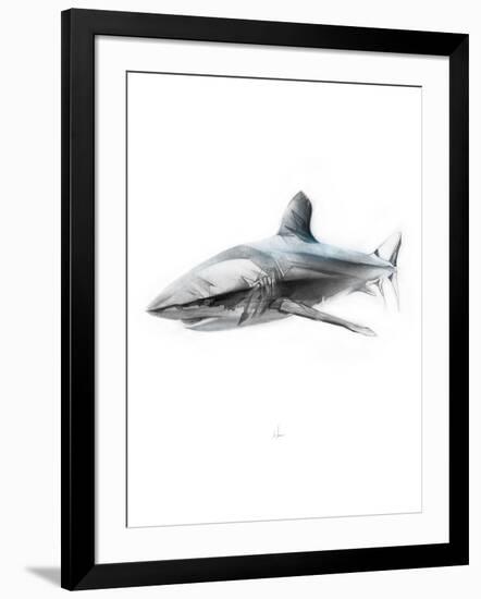 Shark 1-Alexis Marcou-Framed Art Print