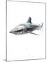 Shark 1-Alexis Marcou-Mounted Art Print