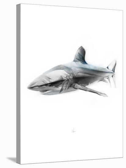 Shark 1-Alexis Marcou-Stretched Canvas
