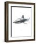 Shark 1-Alexis Marcou-Framed Art Print