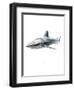 Shark 1-Alexis Marcou-Framed Art Print