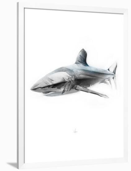 Shark 1-Alexis Marcou-Framed Art Print