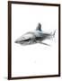 Shark 1-Alexis Marcou-Framed Art Print