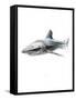 Shark 1-Alexis Marcou-Framed Stretched Canvas