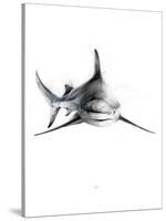 Shark 2-Alexis Marcou-Stretched Canvas
