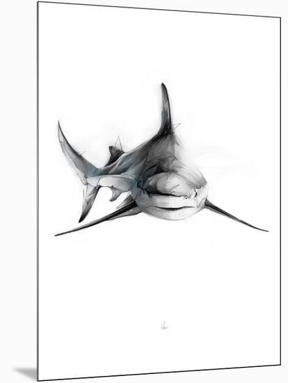 Shark 2-Alexis Marcou-Mounted Premium Giclee Print