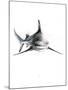 Shark 2-Alexis Marcou-Mounted Art Print