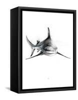 Shark 2-Alexis Marcou-Framed Stretched Canvas