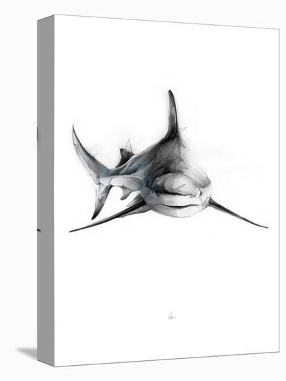 Shark 2-Alexis Marcou-Stretched Canvas