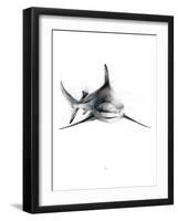 Shark 2-Alexis Marcou-Framed Art Print