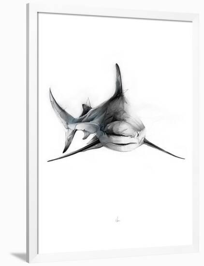 Shark 2-Alexis Marcou-Framed Art Print