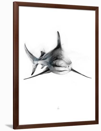 Shark 2-Alexis Marcou-Framed Art Print