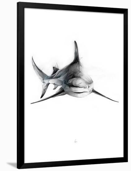 Shark 2-Alexis Marcou-Framed Art Print