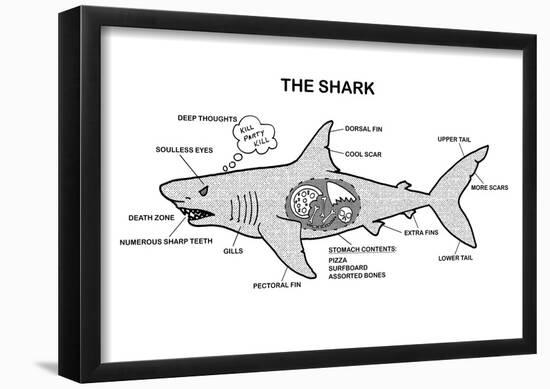 Shark Anatomy Diagram-null-Framed Poster