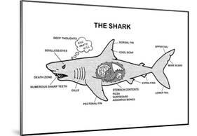 Shark Anatomy Diagram-null-Mounted Poster