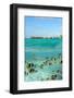 Shark and Butterfly Fish at Bora Bora-pljvv-Framed Photographic Print